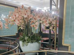 -新白鹿餐厅(爱琴海购物中心店)