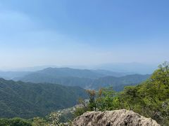 -王顺山国家森林公园