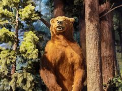 -陕西自然博物馆