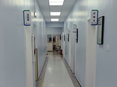 -中国农业大学动物医院