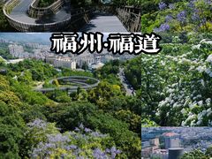 -福道