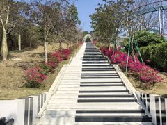 -盈香心动乐园