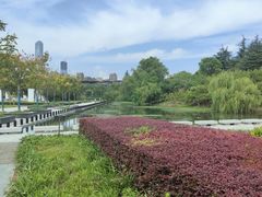 -白塘生态植物园