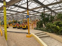 -南宫五洲植物乐园