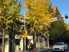 -思南书局(复兴中路店)