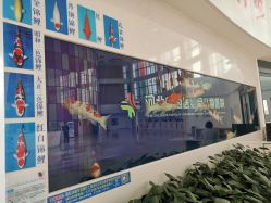 -河北省儿童医院