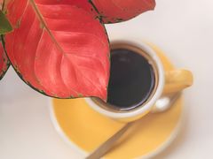 -22cafe