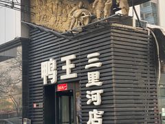 -鸭王烤鸭店(三里河店)
