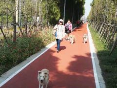 -上海长兴岛郊野公园