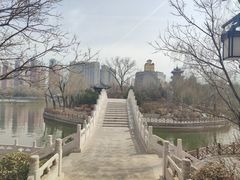-迎泽公园