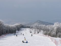-中旅松花湖滑雪场