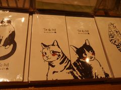 -猫的天空之城概念书店(苏州诚品店)