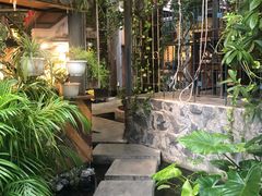-Rainforest