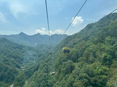 -栾川竹海野生动物园