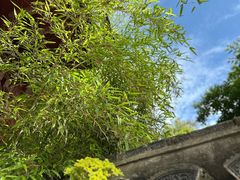 -珞珈山-售票处