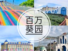 -百万葵园