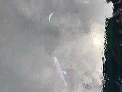 -富士山吉田線五合目