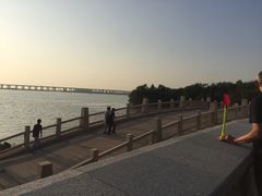 -宝安西湾红树林湿地公园