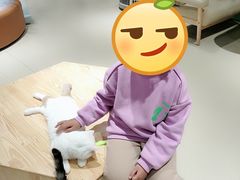 -藏猫猫咖啡主题馆(中央大道店)