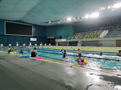 -重庆市奥林匹克体育中心-游泳跳水馆