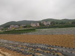 -大连北马山庄