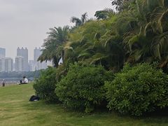 -南宁南湖公园
