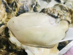 -蚝专家(北滘店)