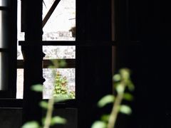 -书隐楼