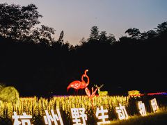 -杭州野生动物世界