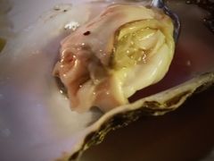 -普朗姆生蚝吧(原建国路店)