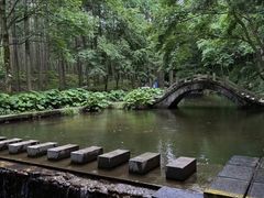 -洛阳白云山景区