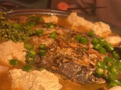 -探鱼·鲜青椒爽麻烤鱼(增城东汇城店)