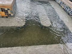 -金汤湾海水温泉度假酒店