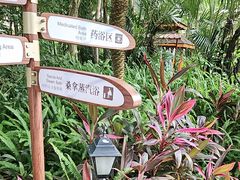 -碧水湾温泉