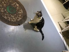 -小时光咖啡馆(开森度假森林店)
