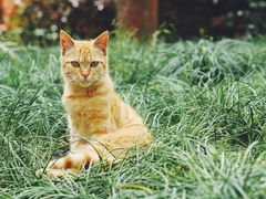 -苏州河梦清园环保主题公园