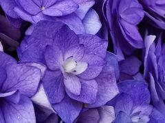 -方恒购物中心(望京小街店)