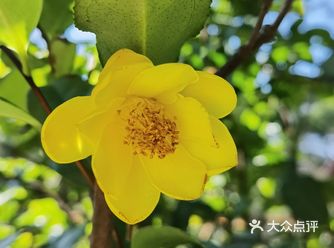 御花園位置就在正門入口右手邊