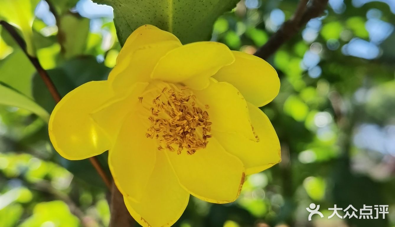 御花園位置就在正門入口右手邊