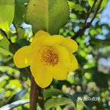 御花園位置就在正門入口右手邊