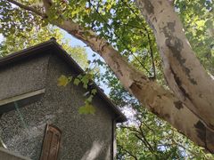 -常熟路(地铁站)