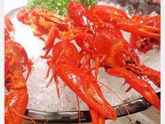 -红盔甲·小龙虾(天钥桥店)