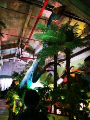 -恐龙探索乐园(磁器口店)