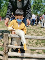 -上美四季动物农场