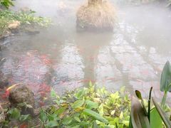 -南通洲际绿博园