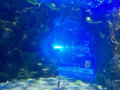 -太平洋海底世界