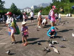 -西霞口神雕山野生动物世界