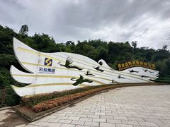 -西双版纳原始森林公园