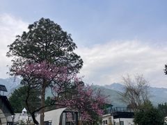 -云禾壹海景庄园餐厅