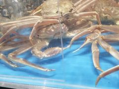 -盒马鲜生(王府广场店)